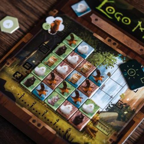 Loco Momo board game